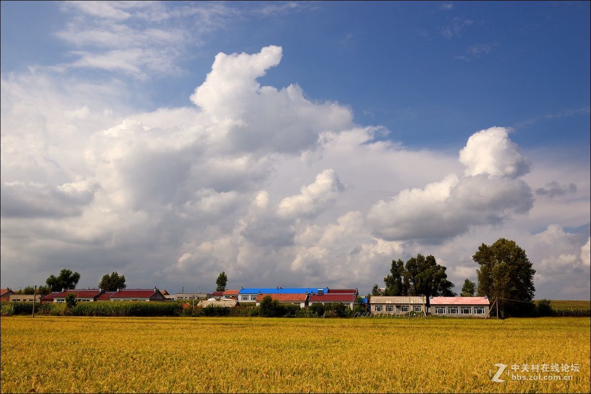 休闲随拍（347）