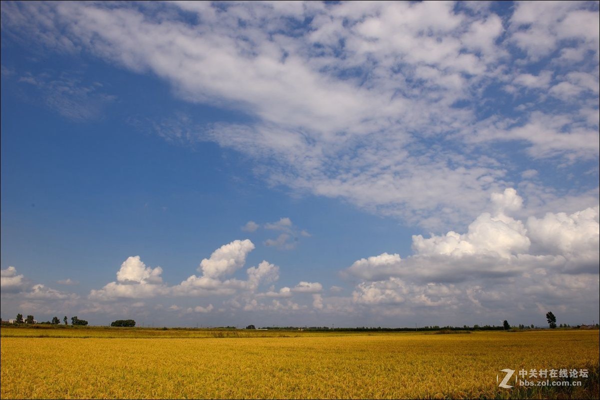 休闲随拍（347）