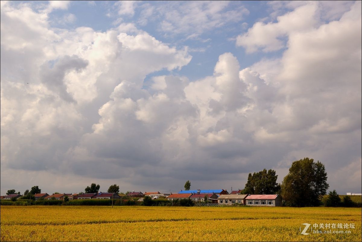 休闲随拍（347）