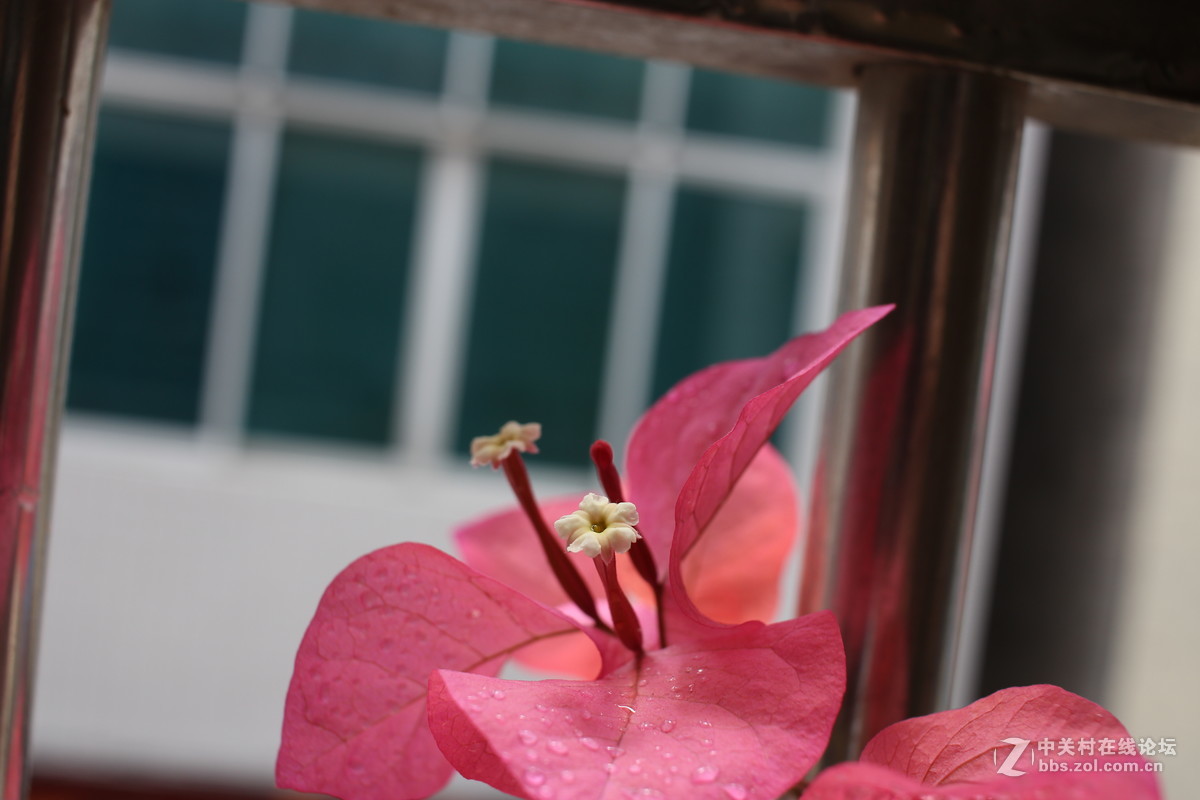 第一台单反，大家给点意见，拍得如何！请指导一下