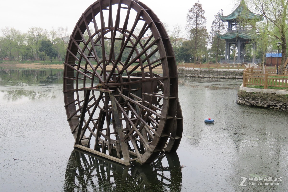 二龙潭公园随拍