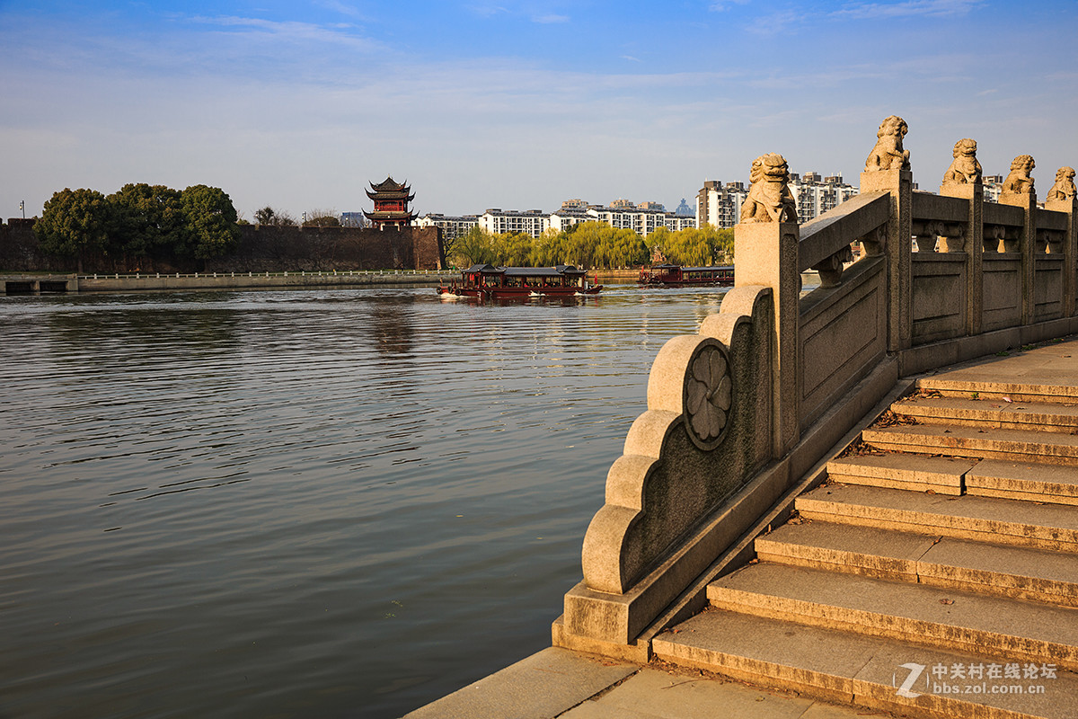 柳条绿了，桃花红了