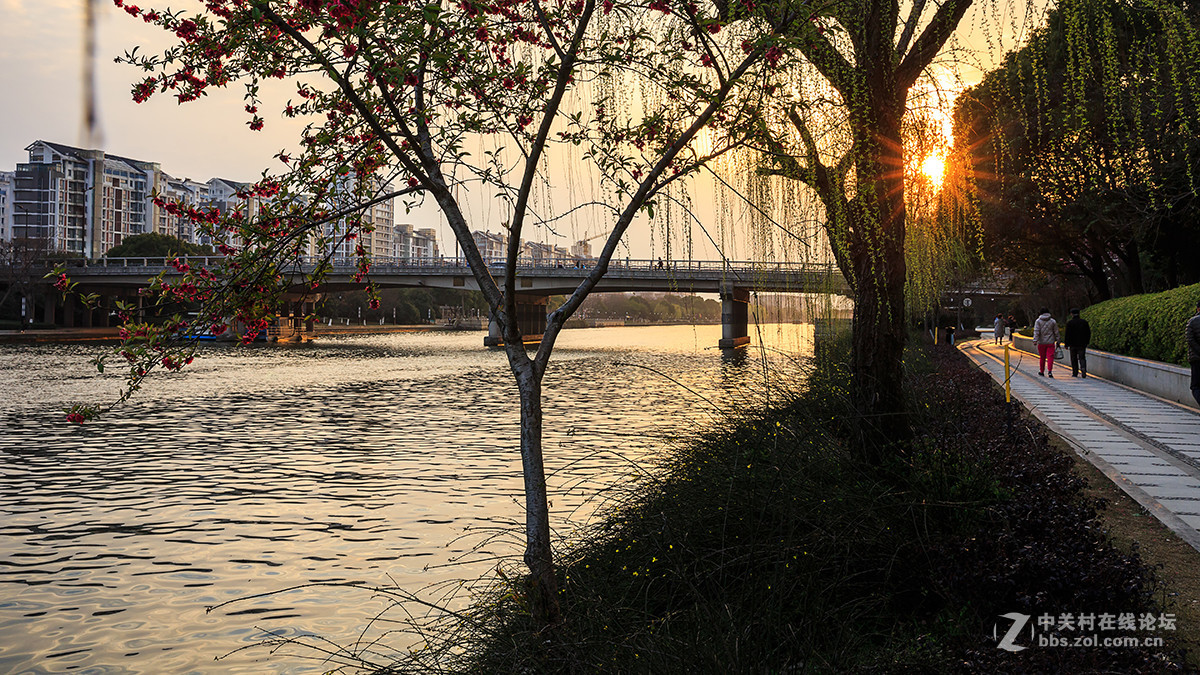 柳条绿了，桃花红了