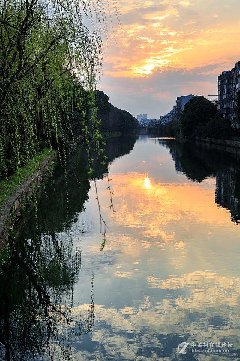 柳条绿了，桃花红了