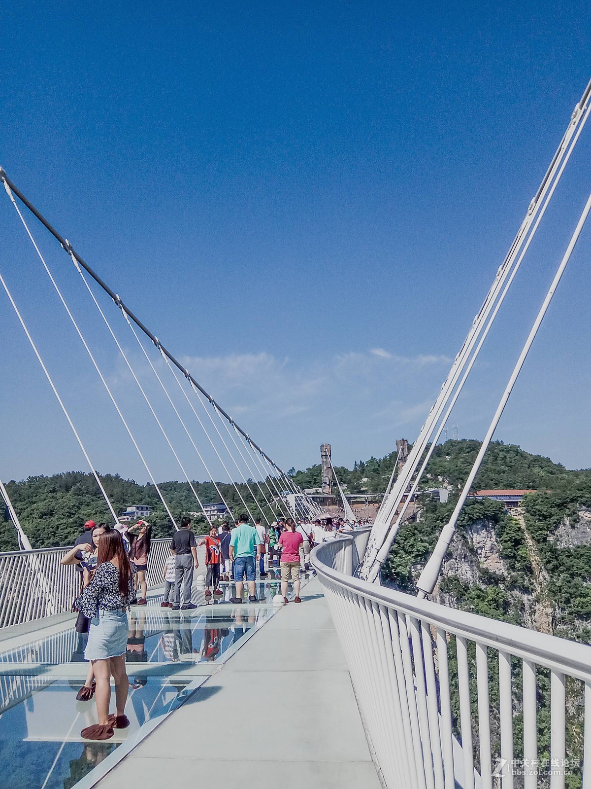 张家界大峡谷的玻璃桥