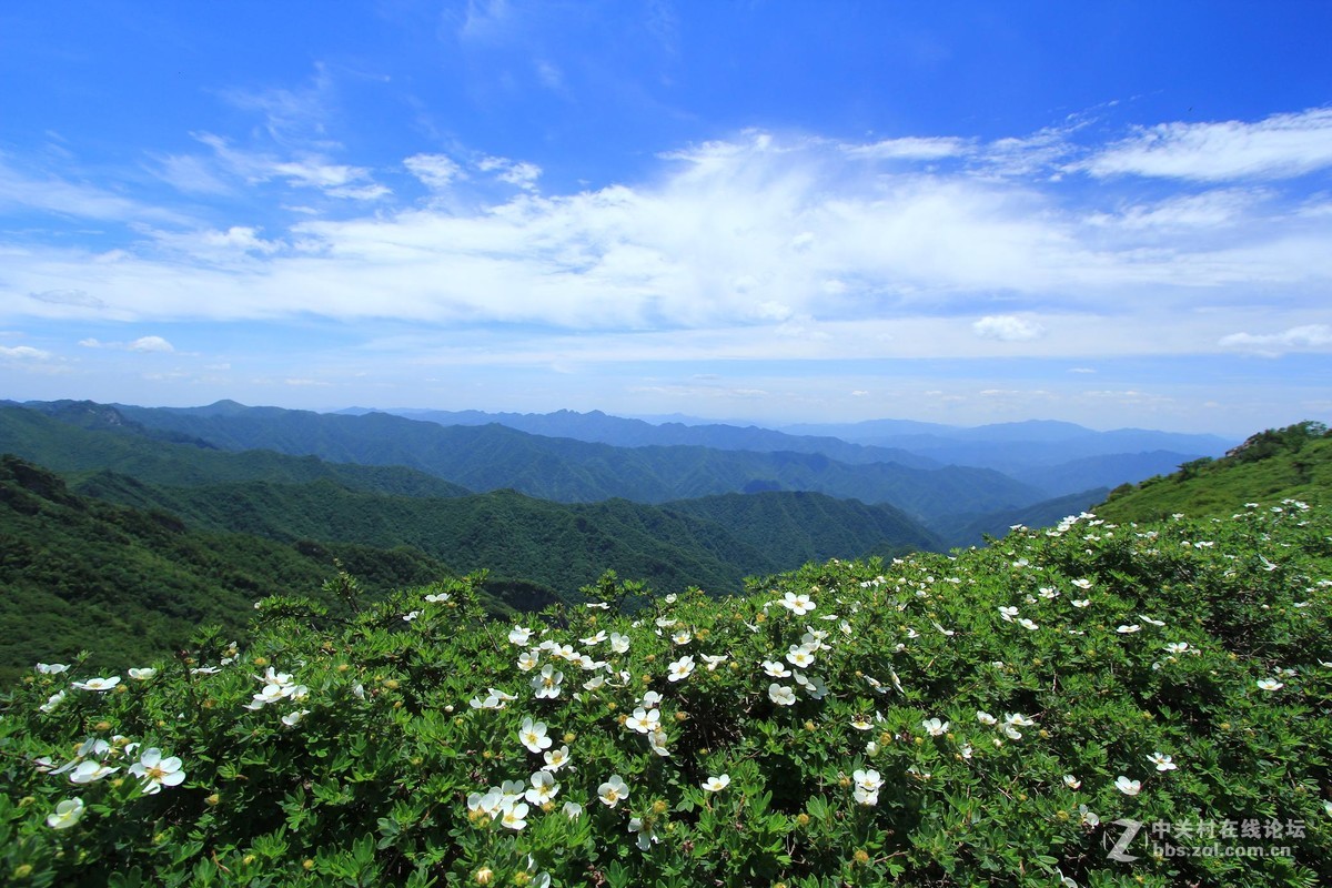 秦岭之魂--西安终南山
