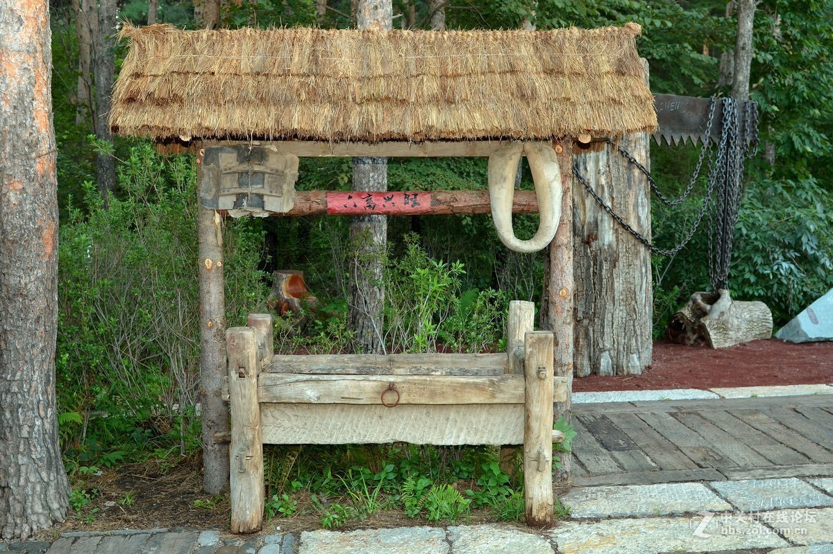 长白山林场的“森工之家”