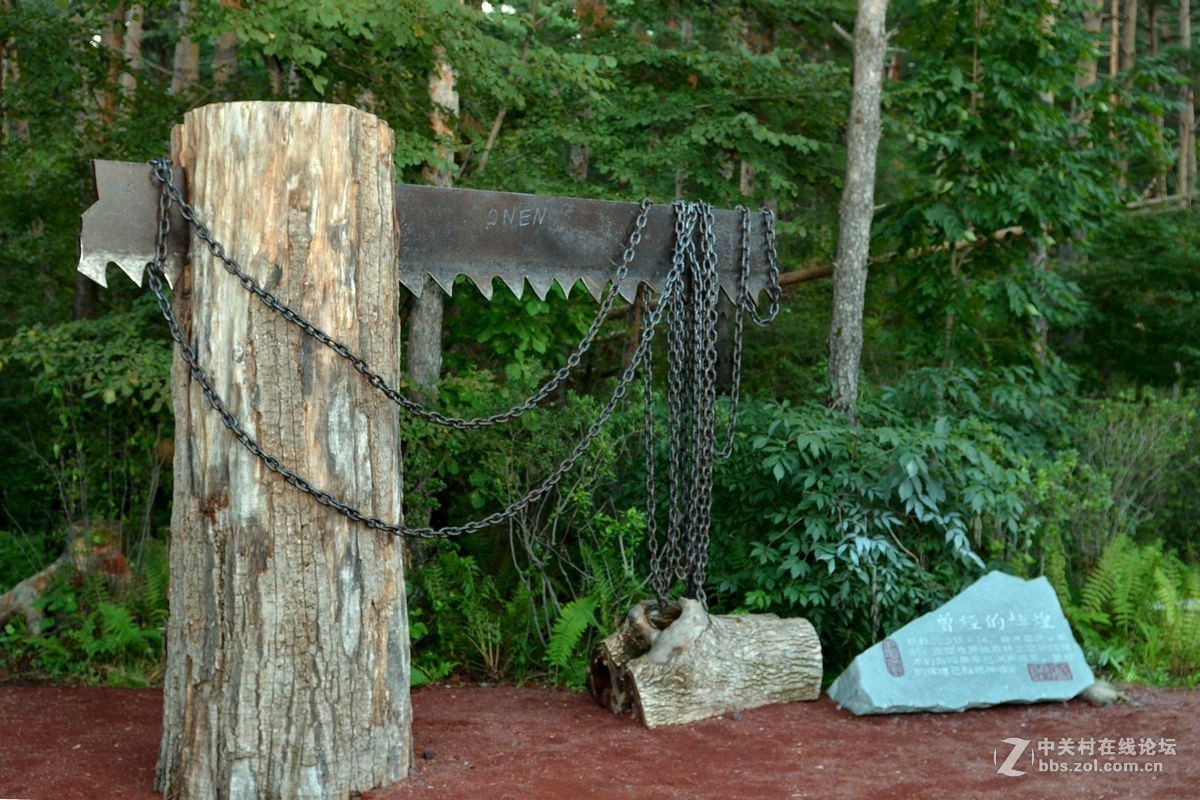 长白山林场的“森工之家”