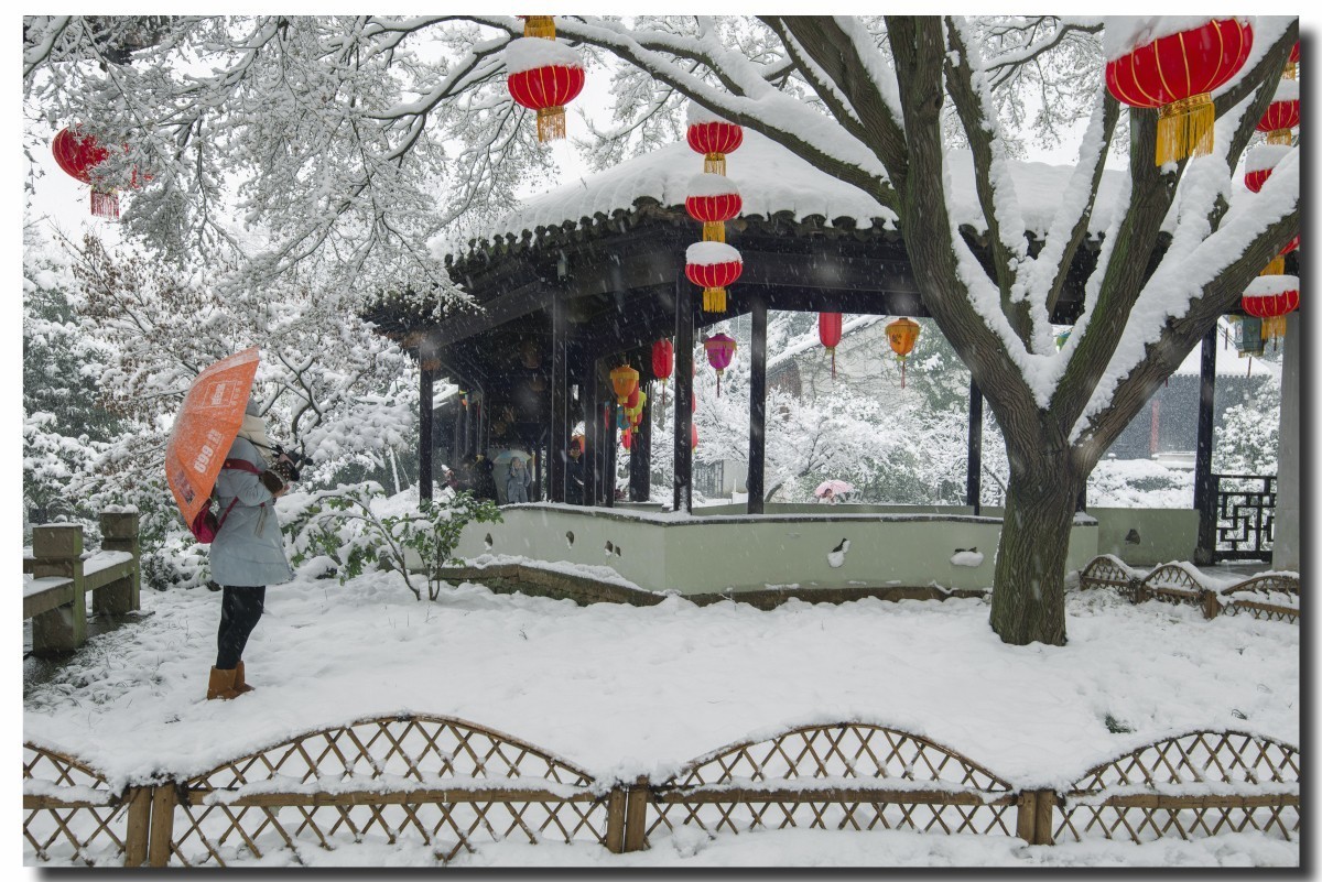 无锡寄畅园雪景