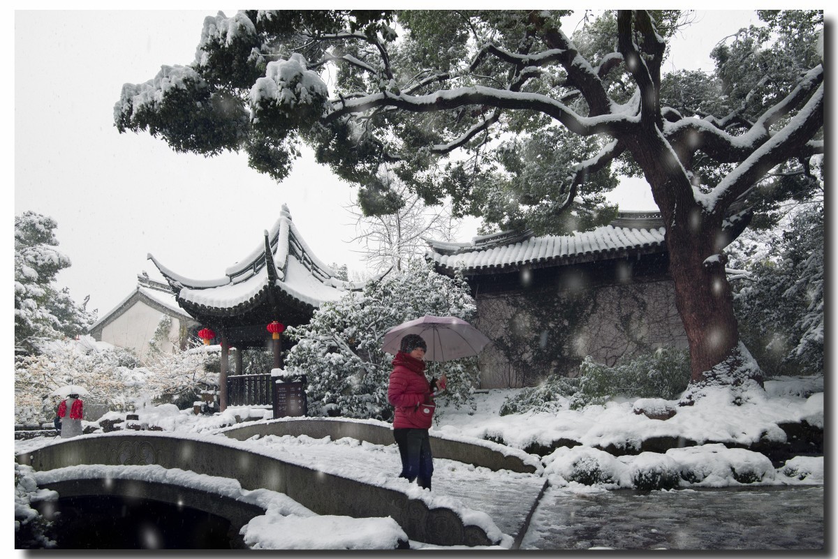 无锡寄畅园雪景