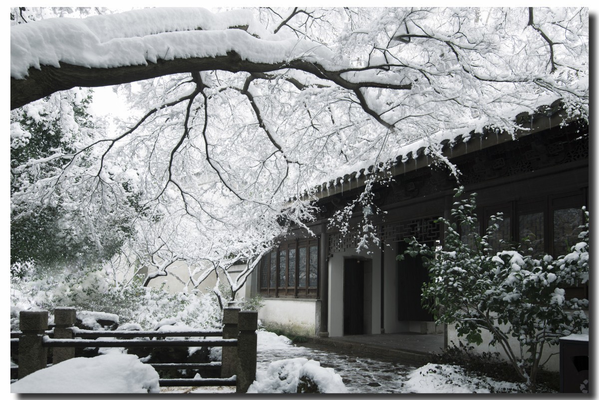 无锡寄畅园雪景