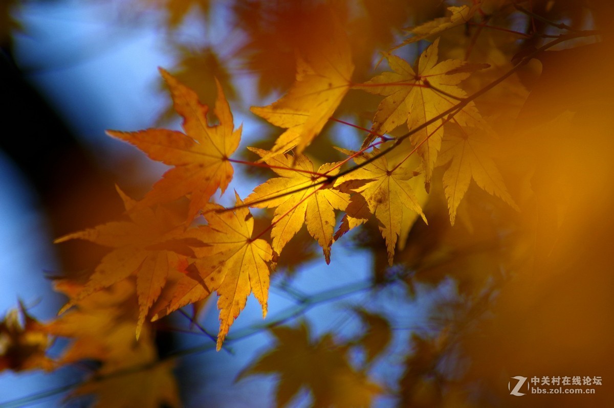 近期小作-腾龙a17的性价比挺高