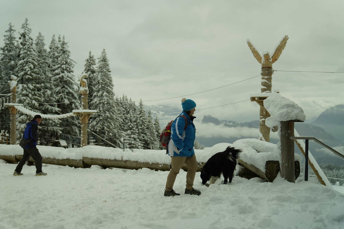 欧州六国之行--瑞士阿尔卑斯山脉皮拉图斯雪山（6）