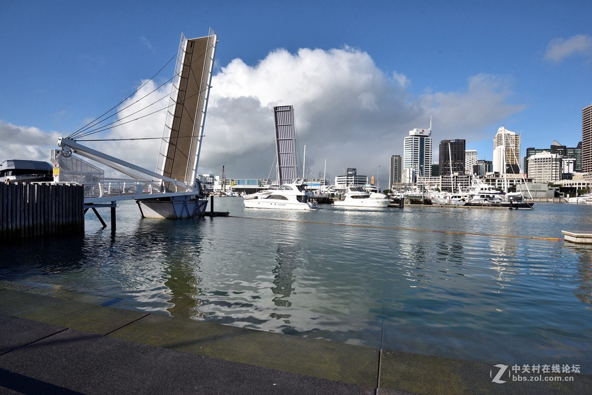 奥克兰的游艇码头-------新西兰
