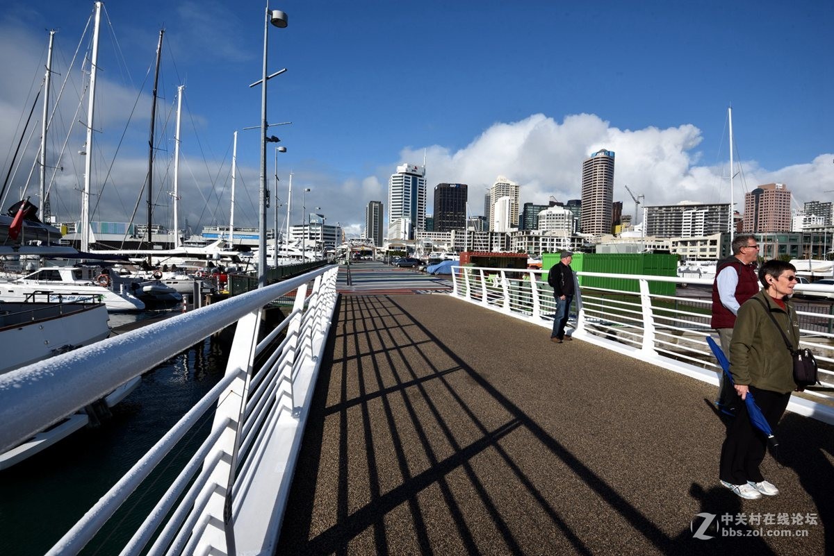奥克兰的游艇码头-------新西兰