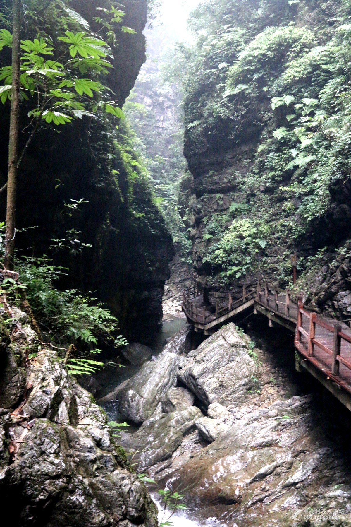 重慶萬盛黑山谷遊記