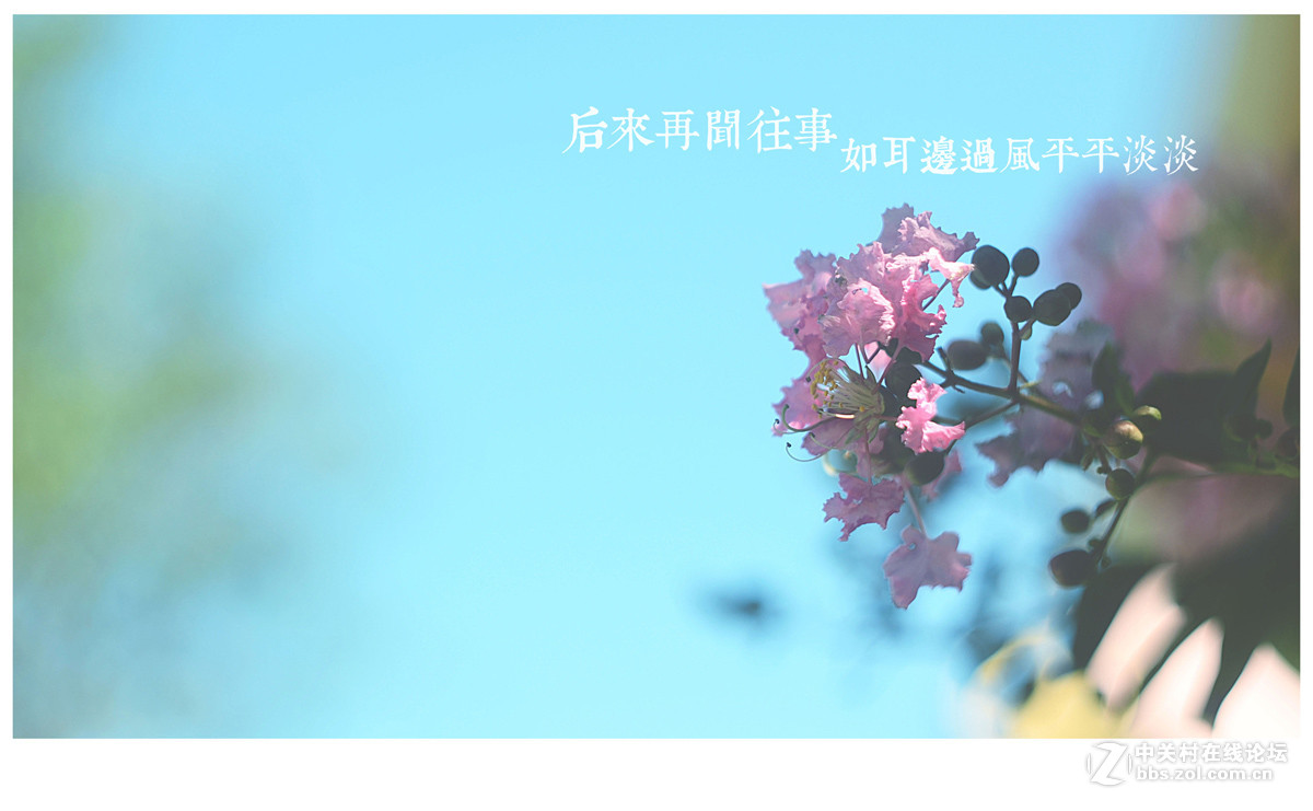 【左边视觉】夏末~~~~（八羽怪试片）~长夏逝去~岁月静好~