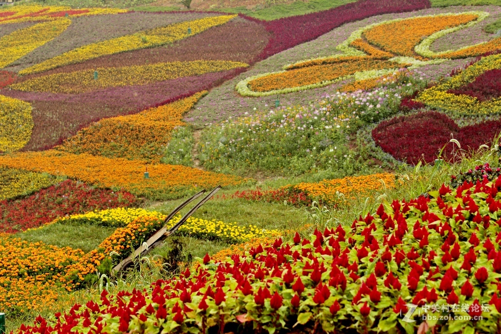 --------羊昌镇“花画小镇”随拍--------