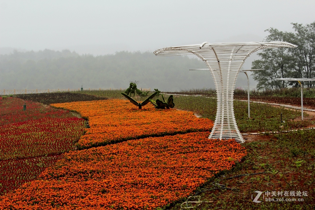 --------羊昌镇“花画小镇”随拍--------