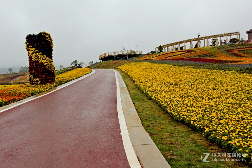--------羊昌镇“花画小镇”随拍--------