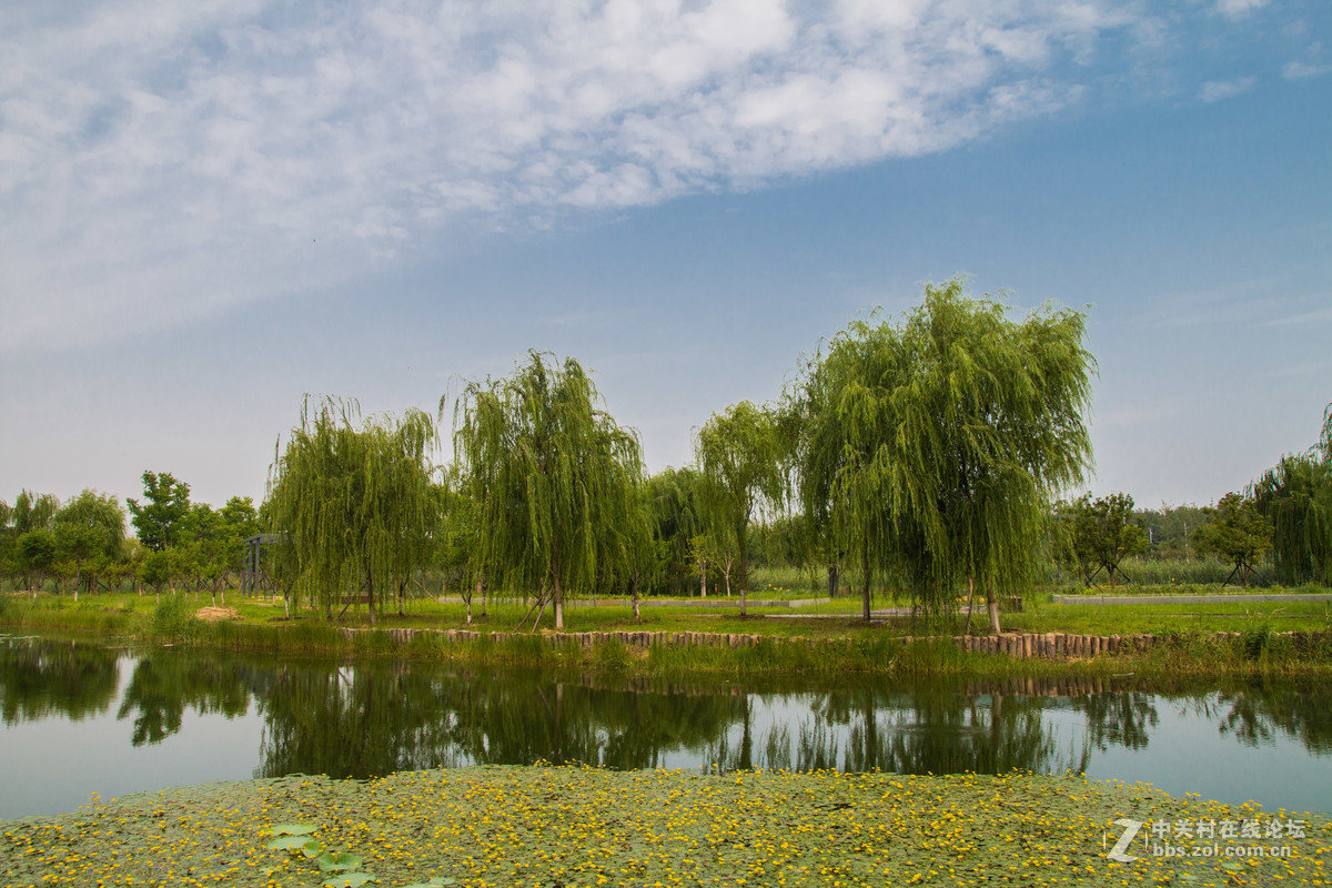 龙湖湿地公园