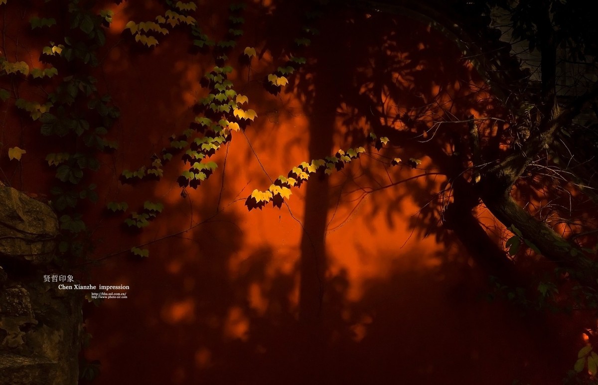 ---【 蓟 州  -- 盘 山 】---