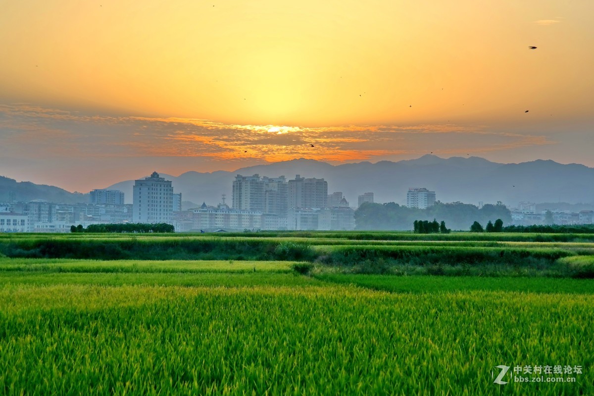 金秋时节（这板块太冷清了，发发照片，增添人气）
