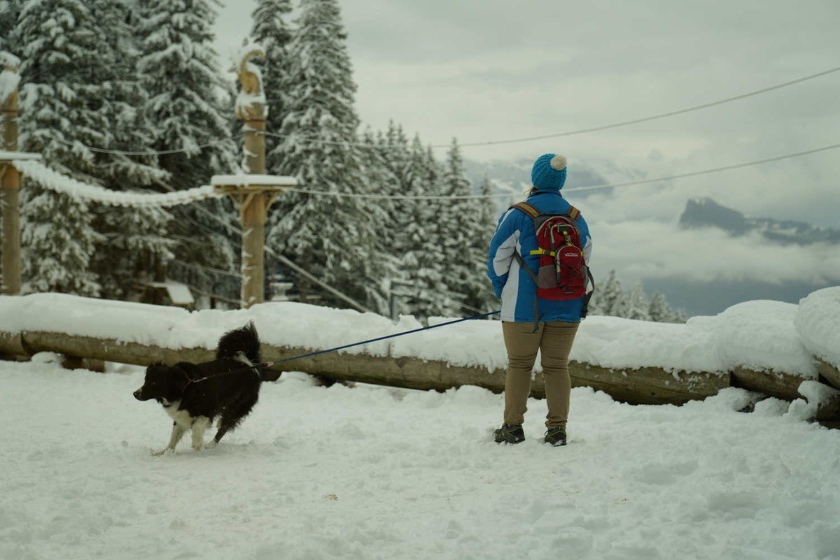 欧州六国之行--瑞士阿尔卑斯山脉皮拉图斯雪山（6）