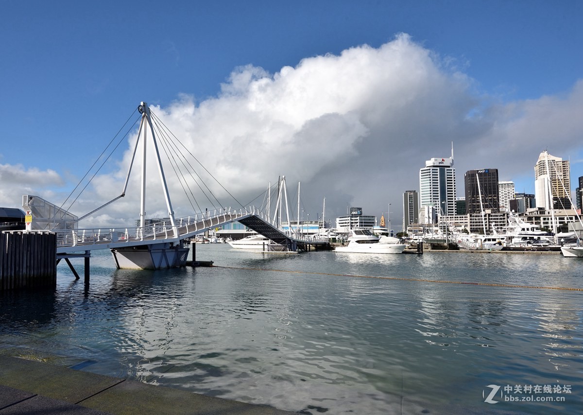 奥克兰的游艇码头-------新西兰