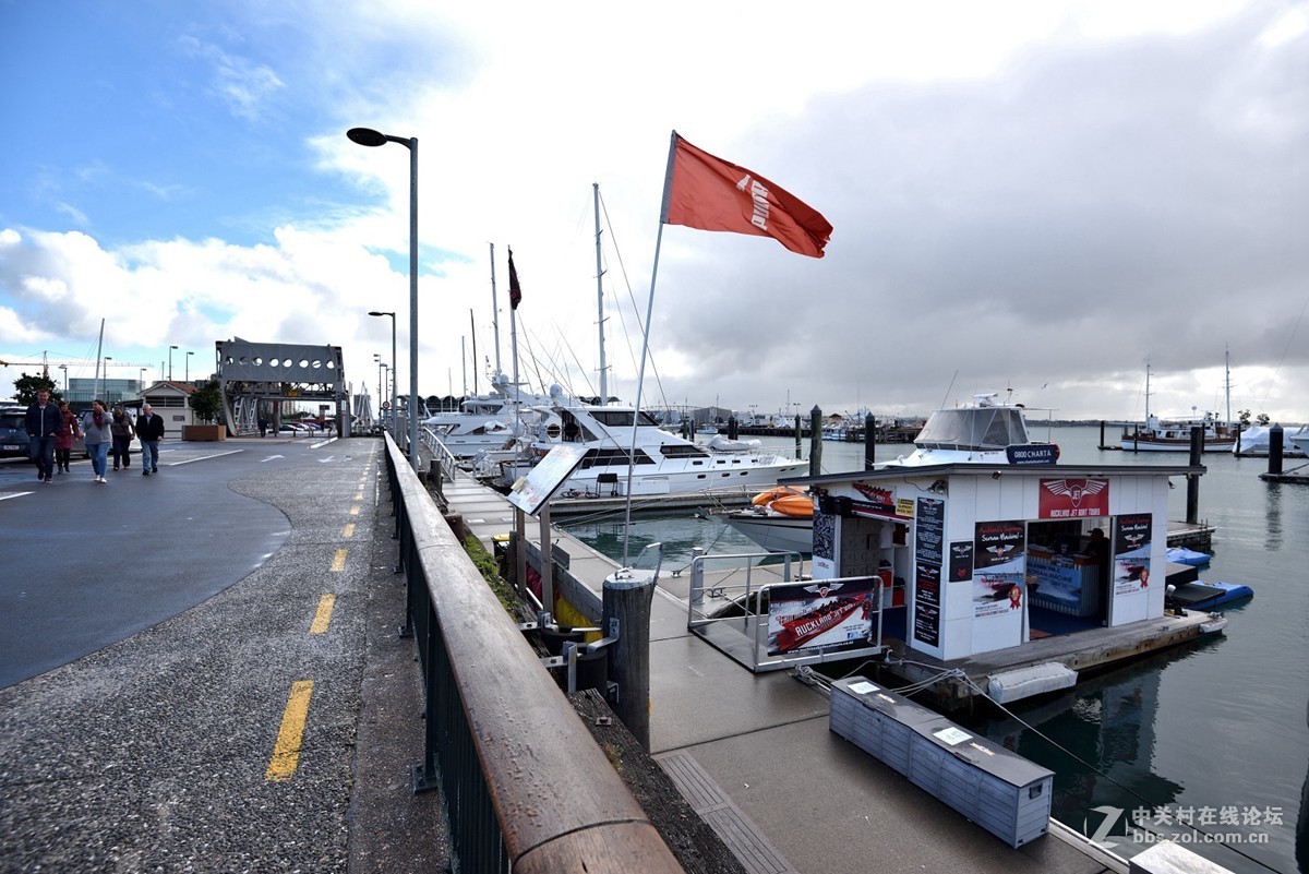 奥克兰的游艇码头-------新西兰