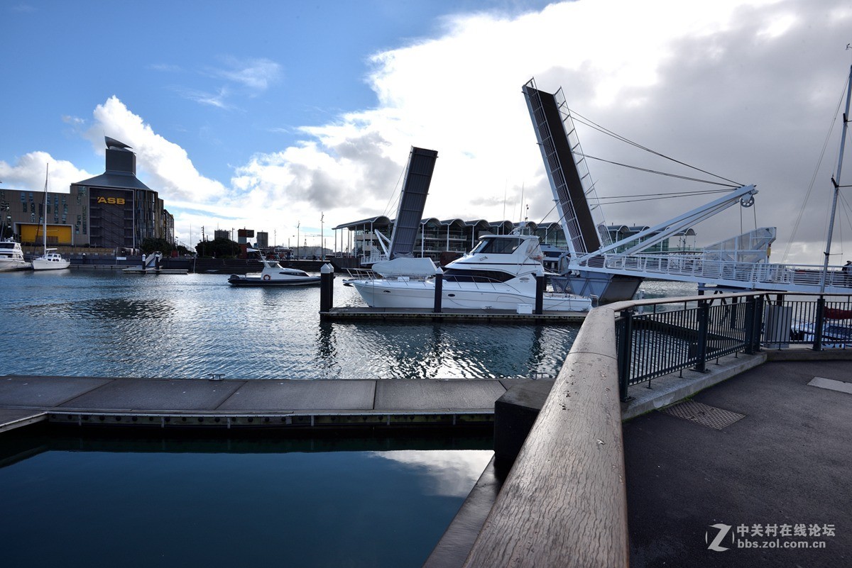 奥克兰的游艇码头-------新西兰