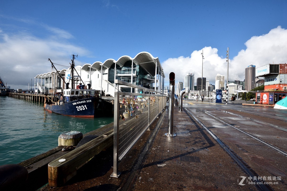 奥克兰的游艇码头-------新西兰