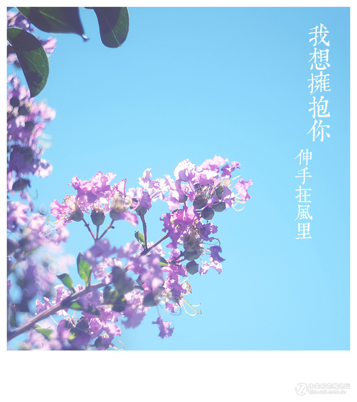 【左边视觉】夏末~~~~（八羽怪试片）~长夏逝去~岁月静好~