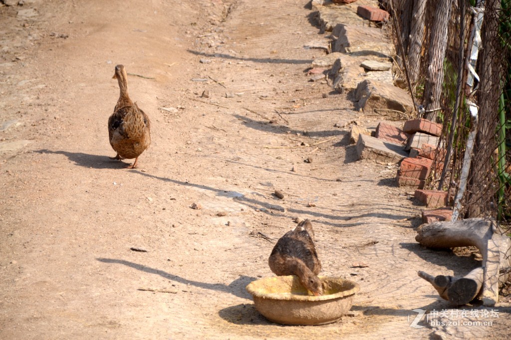 斑驳岁月沧桑人