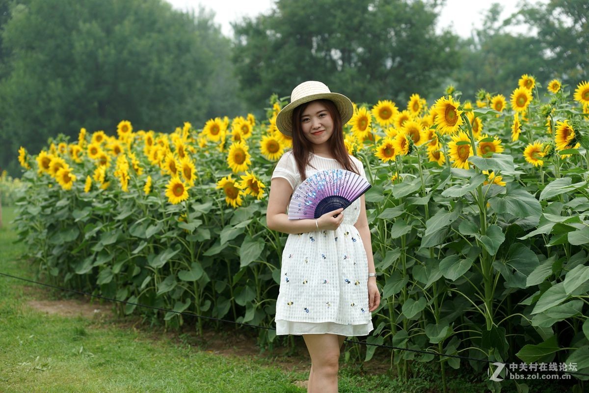 奧森公園葵花園裡面的青春少女一美麗又動人