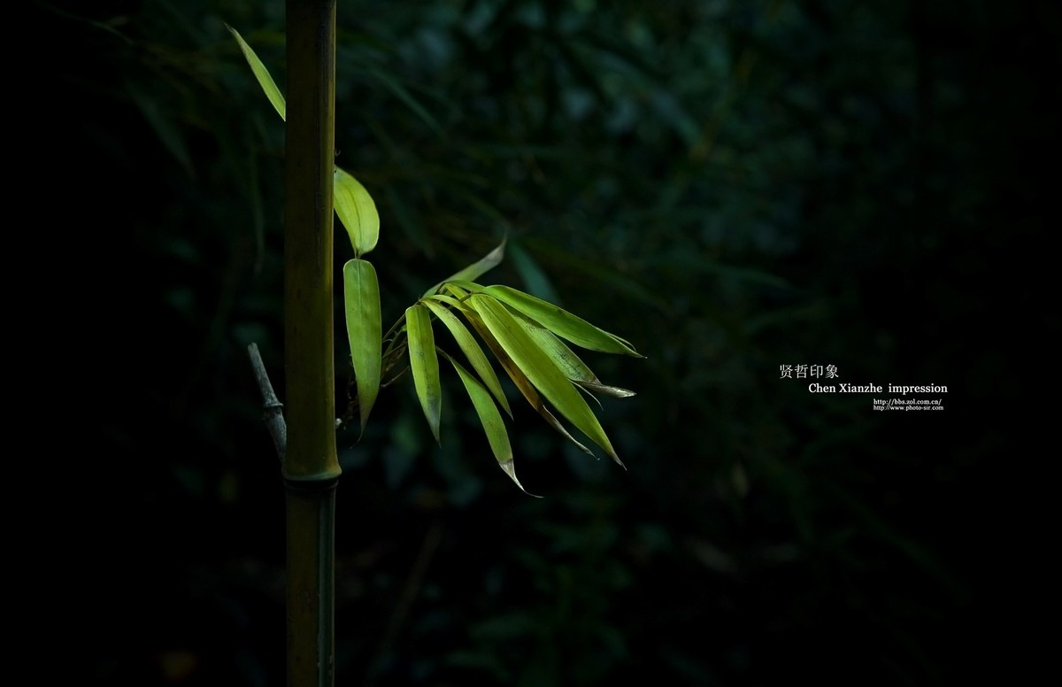 ---【 蓟 州  -- 盘 山 】---