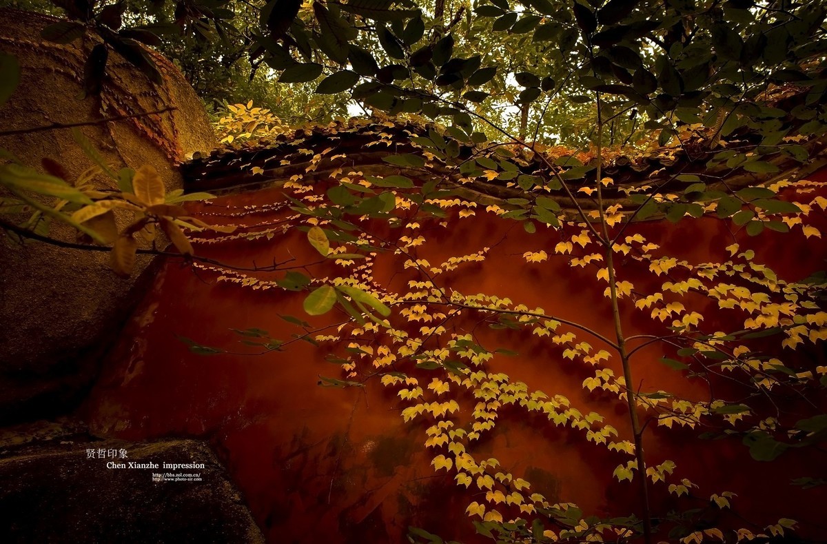 ---【 蓟 州  -- 盘 山 】---