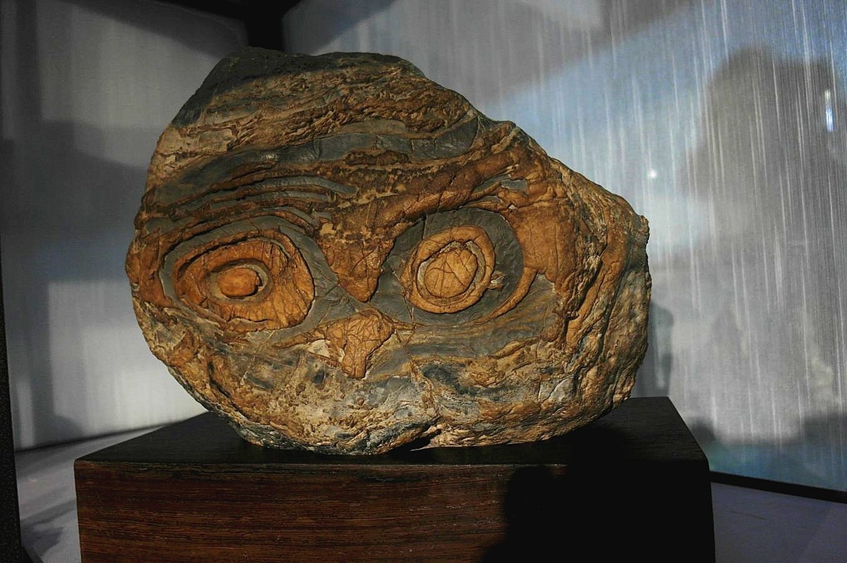 『拜读奇石--续』123...15P