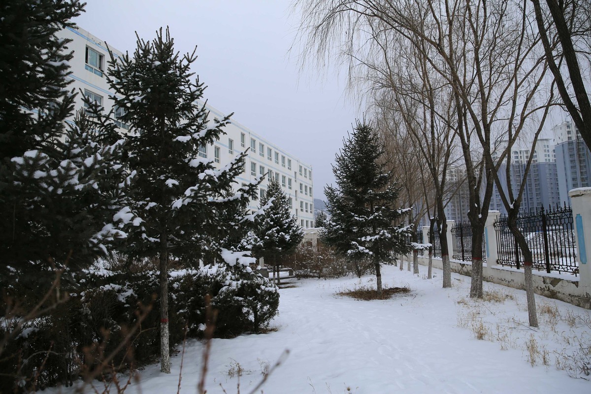 雪中校园