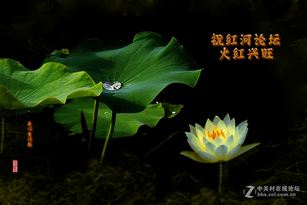 携帖探望好友华电昆明人，祝红河开坛