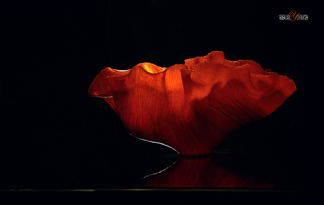 极光之舞——分享美国玻璃艺术巨星图兹-詹斯基作品！