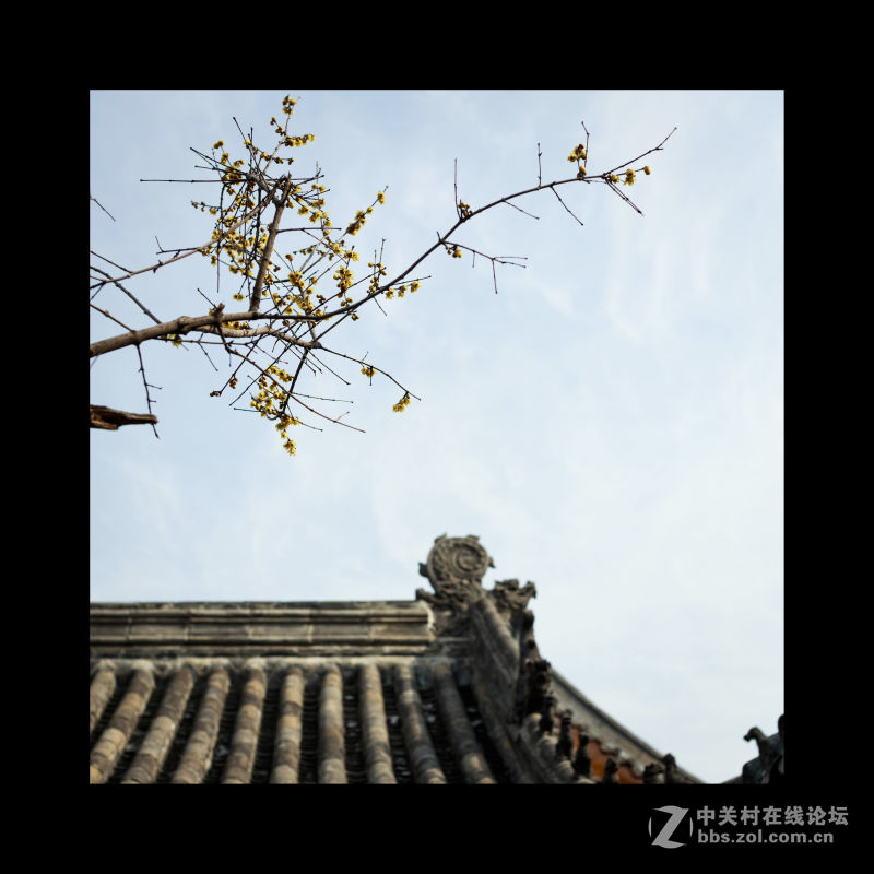 品味三孔（孔府、孔庙）