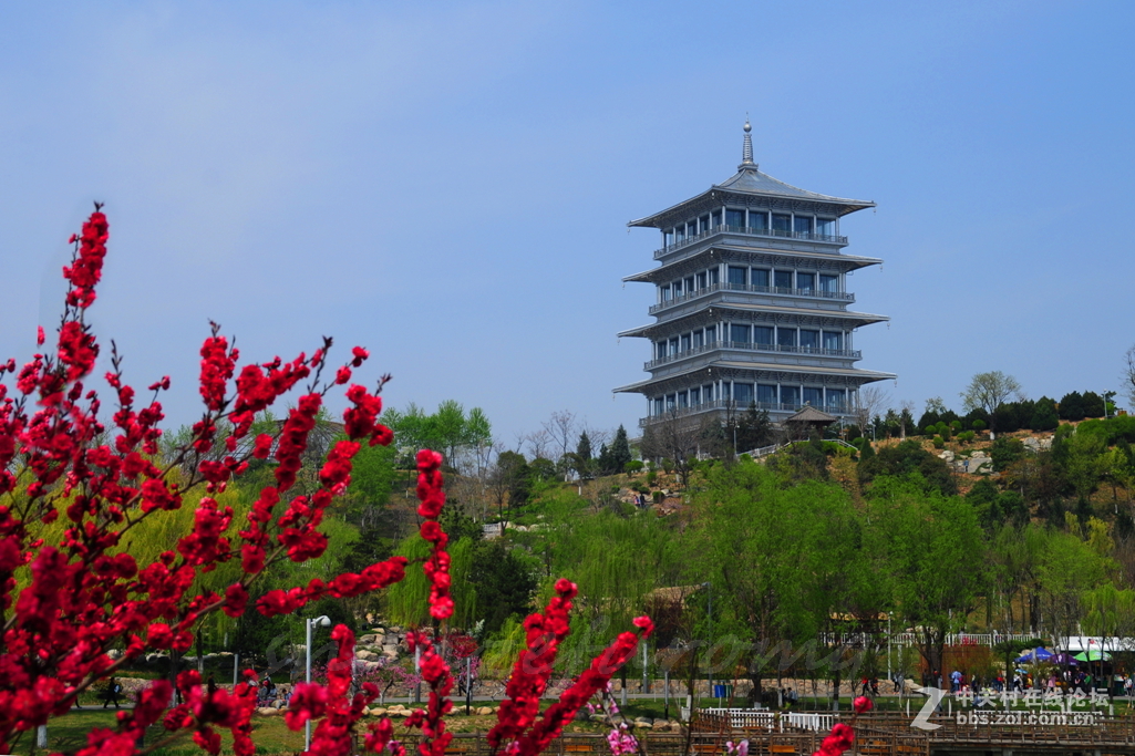 #ZOL月赛-春暖花开#——春到西安世博园