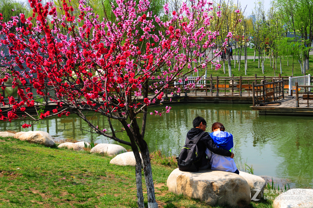 #ZOL月赛-春暖花开#——春到西安世博园