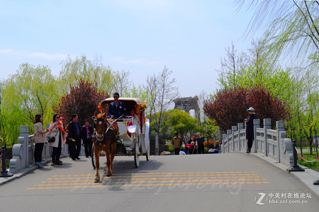 #ZOL月赛-春暖花开#——春到西安世博园