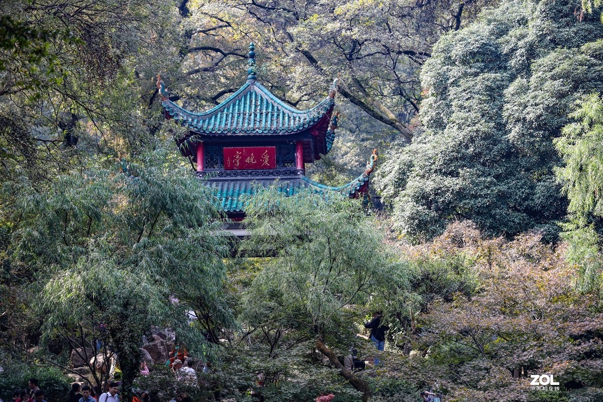 岳麓山---爱晚亭-中关村在线摄影论坛
