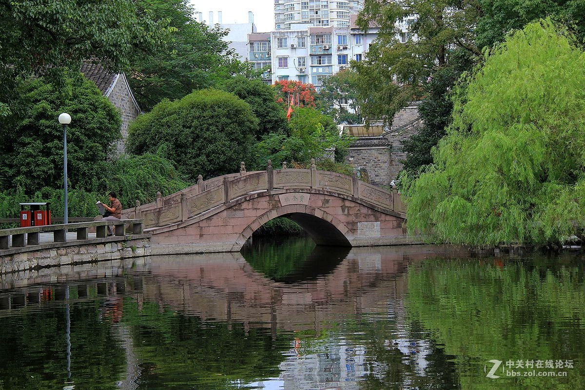 寧波月湖公園2