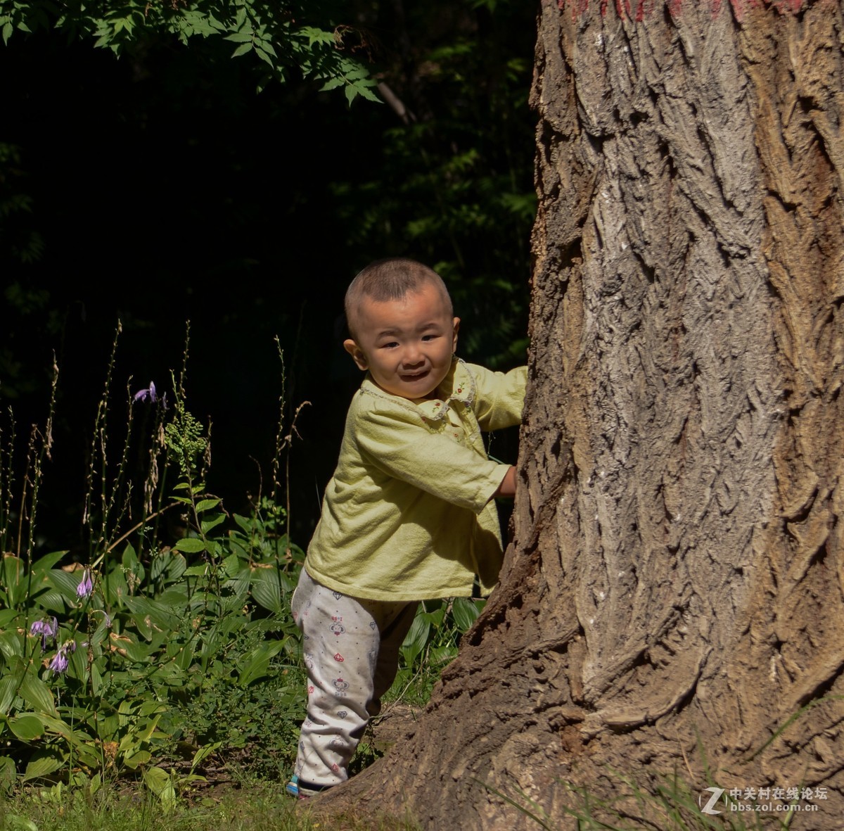 捉迷藏的小孩子