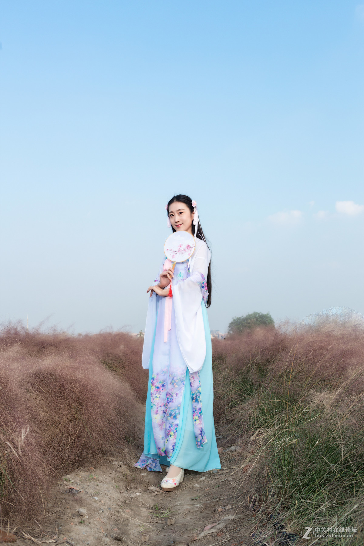花海 请指教