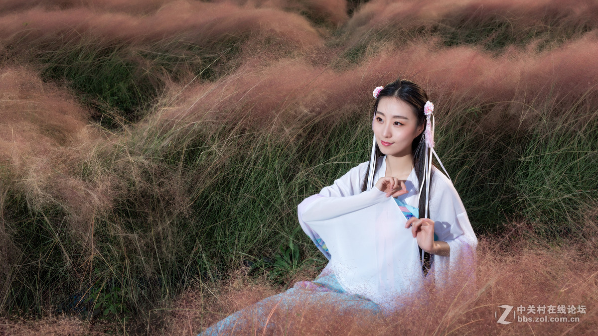 花海 请指教
